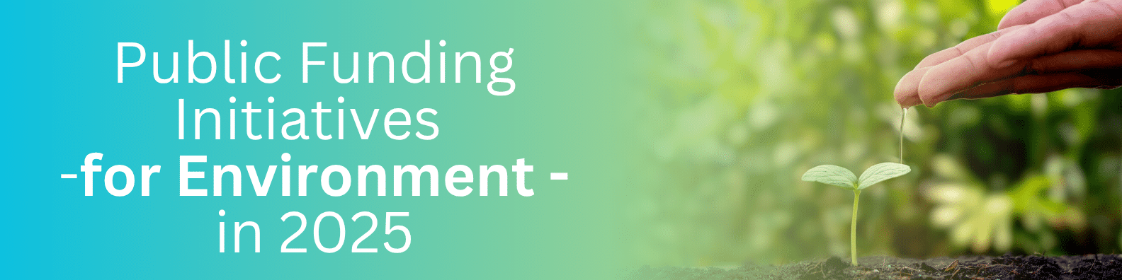 Top EU Funding Initiatives for Environment in 2025 - STRATA