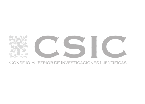 CSIC logo gris
