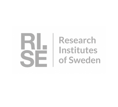 RISE logo gris